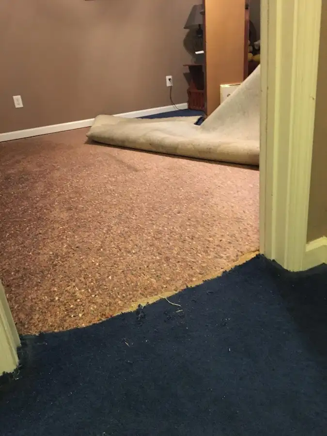 Carpet pad removal revealing water damage during Water Mitigation Services in Ann Arbor