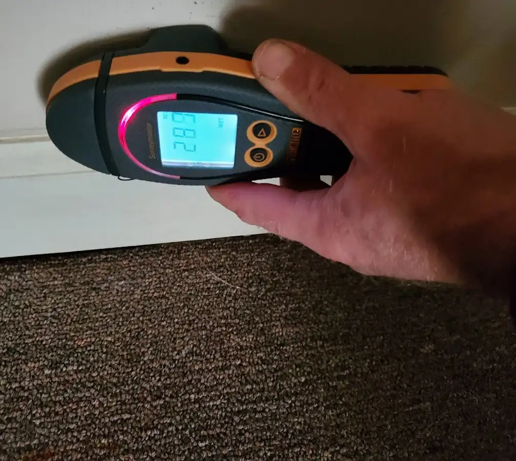 Moisture detection at baseboard during Sewage Cleanup & Sanitation in Ann Arbor